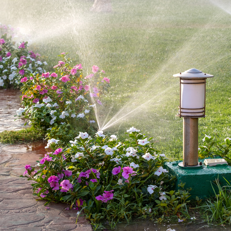 Outdoor & Garten